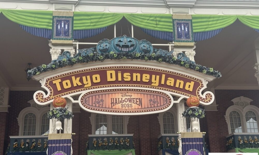 夢の国へ@解体コング