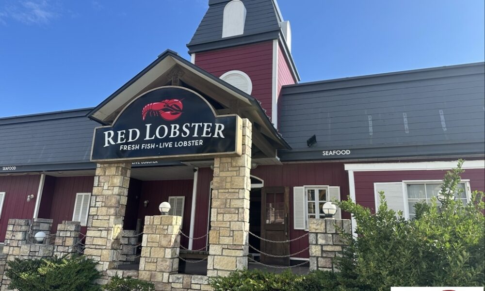 秋晴れの休日に🦞@解体コング