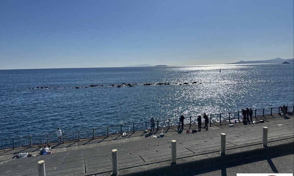 湯河原の海@解体コング