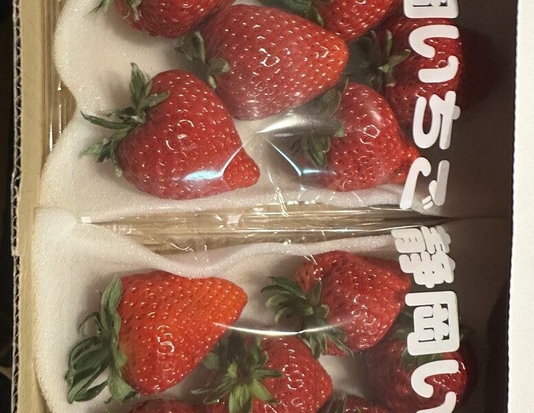 静岡いちご@解体コング