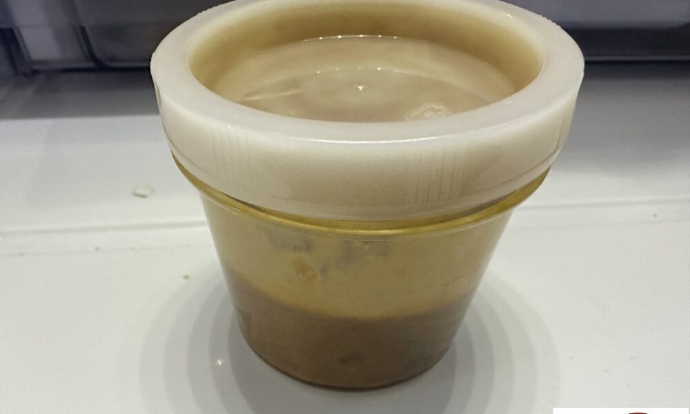 魚國の塩辛@解体コング