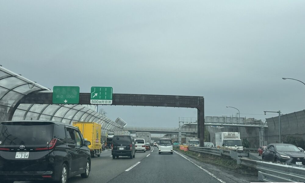 そんなもんだ笑@解体コング