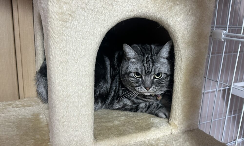 お気に入りの場所@解体コング