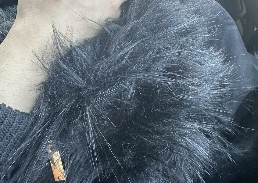 びっくりしたなあもう@解体コング